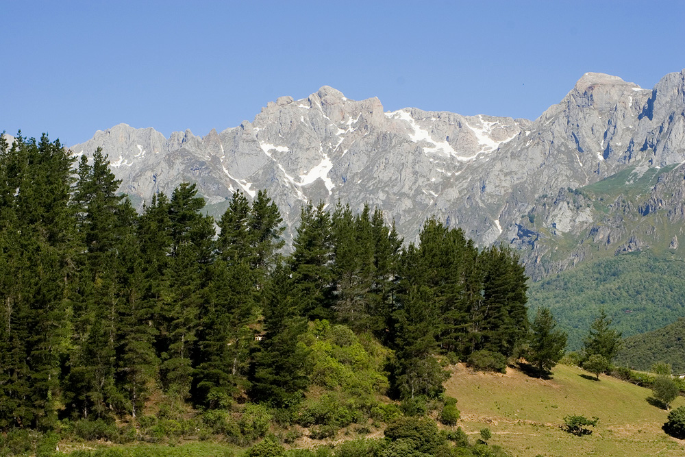 Somewhere in Picos de Europa